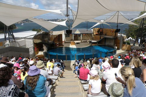 Sydney Taronga Zoo General Entry Ticket - Kempsey Accommodation 5