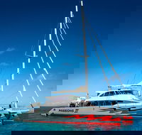 Passions of Paradise Great Barrier Reef Snorkel and Dive Cruise from Cairns by Luxury Catamaran - Kempsey Accommodation