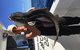 1/2 Day 5 Hour Offshore Fishing Charter - thumb 3