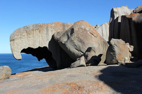 Kangaroo Island Personal Group Tours - Kempsey Accommodation 2
