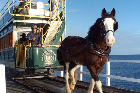 Full-Day Tour In South Australia Highlights - Kempsey Accommodation 1