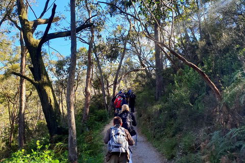 Self-Guided Waterfall Gully To Mount Lofty Hike From Adelaide - Kempsey Accommodation 1