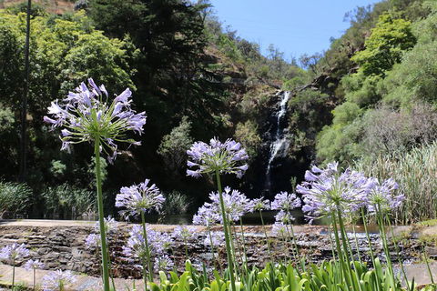 Self-Guided Waterfall Gully To Mount Lofty Hike From Adelaide - Kempsey Accommodation 3