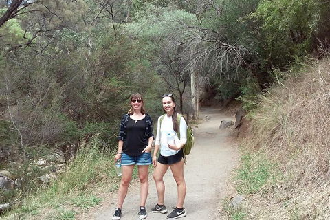 Self-Guided Waterfall Gully To Mount Lofty Hike From Adelaide - Kempsey Accommodation 4