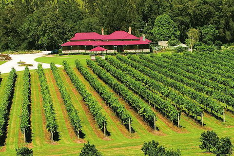 O'Reilly's & Lamington National Park From Brisbane - Kempsey Accommodation 2