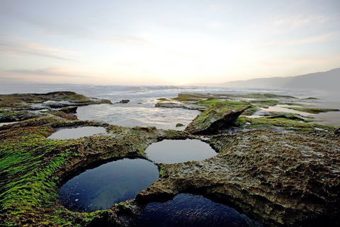 LGBT+ Friendly 3 Day Private Tour Great Ocean Road & Phillip Island - Kempsey Accommodation 5