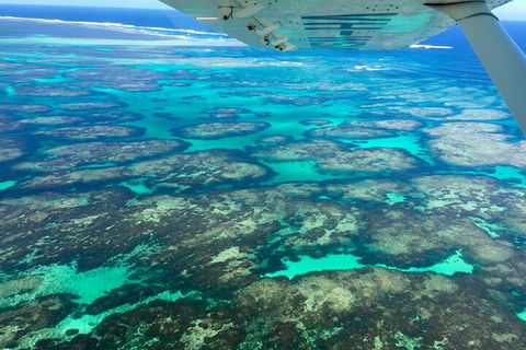 Shipwreck Special Full Day Tour Of The Abrolhos Islands - Kempsey Accommodation 1