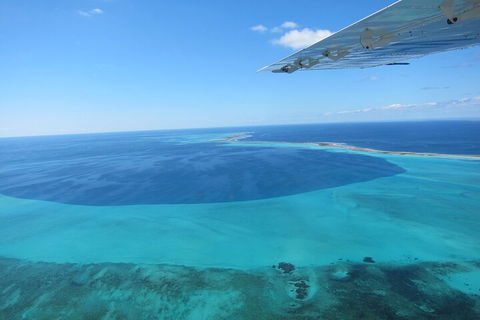 Shipwreck Special Full Day Tour Of The Abrolhos Islands - Kempsey Accommodation 2