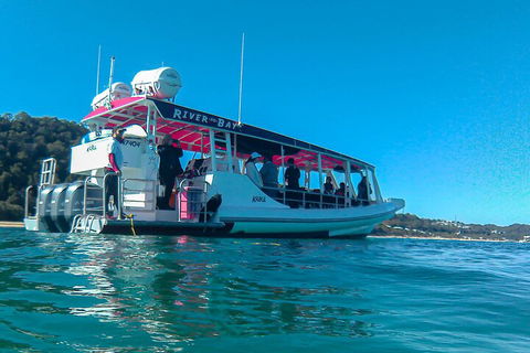 Best Of Moreton Bay Cruise - Kempsey Accommodation 0