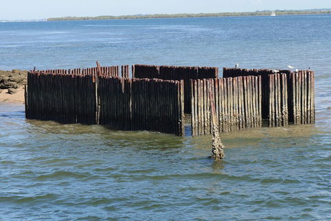 Best Of Moreton Bay Cruise - Kempsey Accommodation 1