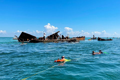 Best Of Moreton Bay Cruise - Kempsey Accommodation 5