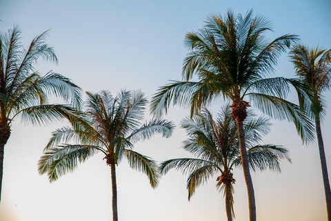 Darwin City Sightseeing Tour - Kempsey Accommodation 0