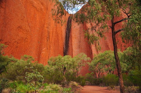 Uluru Sunrise And Guided Base Walk - Kempsey Accommodation 3