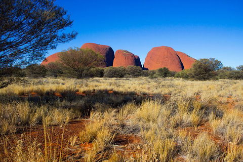 Kata Tjuta Sunrise And Valley Of The Winds Half-Day Trip - Kempsey Accommodation 1