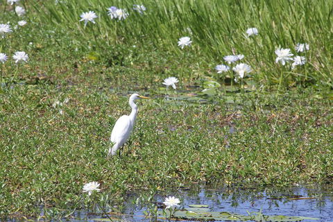 Darwin City Sights And Jumping Crocodile Cruise - Kempsey Accommodation 4