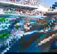 Great Barrier Reef Day Cruise from Cairns Including Snorkeling and Marine Biologist Presentation - Kempsey Accommodation