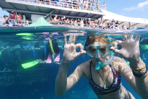 Great Barrier Reef Day Cruise From Cairns Including Snorkeling And Marine Biologist Presentation - Kempsey Accommodation 0