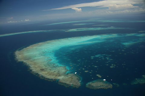 Great Barrier Reef Day Cruise From Cairns Including Snorkeling And Marine Biologist Presentation - Kempsey Accommodation 1