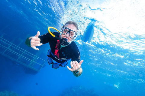 Great Barrier Reef Day Cruise From Cairns Including Snorkeling And Marine Biologist Presentation - Kempsey Accommodation 3