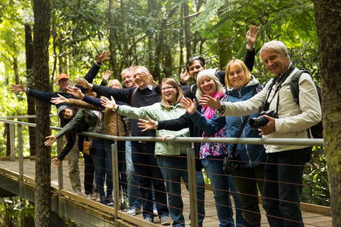 All Inclusive Blue Mountains Small-Group Day Trip From Sydney - Kempsey Accommodation 5