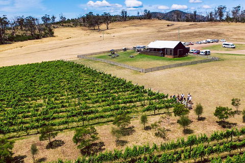 Tasmanian Wine Tour - Kempsey Accommodation 3