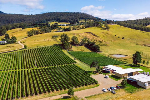 Tasmanian Wine Tour - Kempsey Accommodation 4