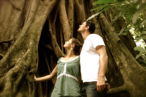 Daintree And Cape Tribulation Full Day Guided Tour - Kempsey Accommodation 5