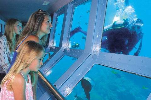 Quicksilver Outer Great Barrier Reef Snorkel Cruise From Palm Cove - Kempsey Accommodation 0