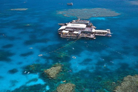 Quicksilver Outer Great Barrier Reef Snorkel Cruise From Palm Cove - Kempsey Accommodation 1