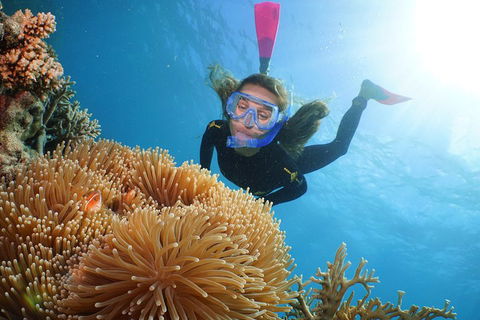 Quicksilver Outer Great Barrier Reef Snorkel Cruise From Palm Cove - Kempsey Accommodation 2