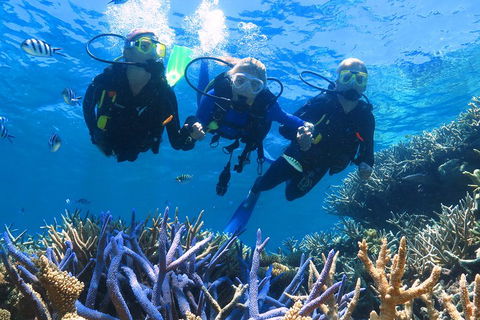 Quicksilver Outer Great Barrier Reef Snorkel Cruise From Palm Cove - Kempsey Accommodation 3