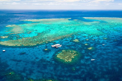 Quicksilver Outer Great Barrier Reef Snorkel Cruise From Palm Cove - Kempsey Accommodation 4