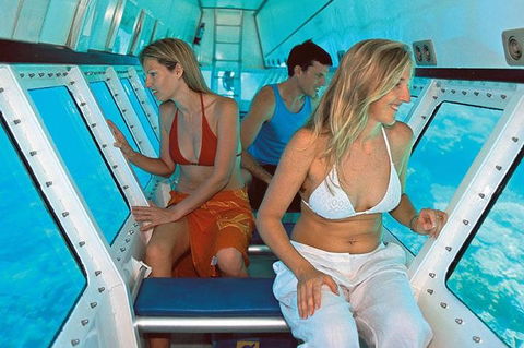 Quicksilver Outer Great Barrier Reef Snorkel Cruise From Palm Cove - Kempsey Accommodation 5