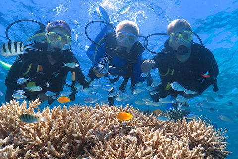 Quicksilver Outer Great Barrier Reef Snorkel Cruise From Port Douglas - Kempsey Accommodation 4
