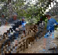 Fully guided E-Mountain Bike Tour on the beautiful Mornington Peninsula. - Kempsey Accommodation