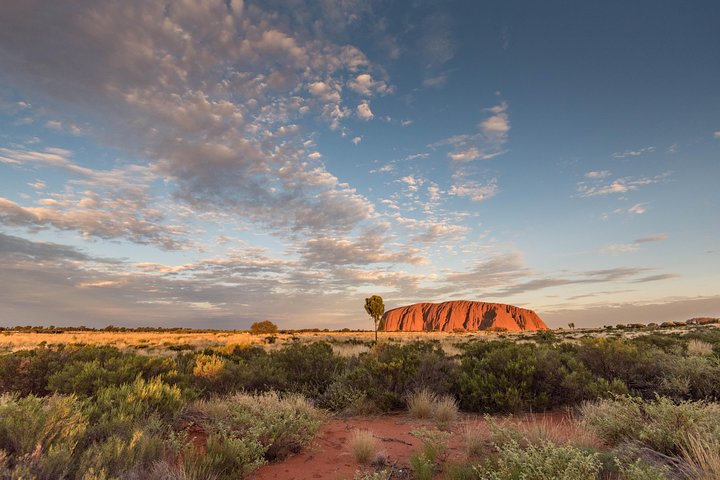 Alice Springs NT Kempsey Accommodation