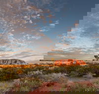 Uluru Kata Tjuta and Kings Canyon Camping Safari from Alice Springs - Kempsey Accommodation