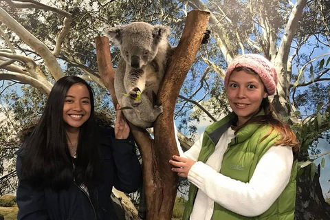 Australia Multi-City Attractions Pass - Kempsey Accommodation 3