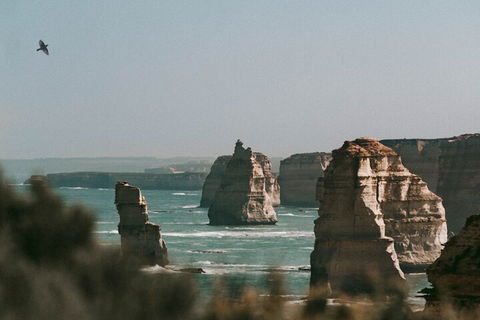 Half-Day Or Full-Day Tour With Private Guide From Melbourne - Kempsey Accommodation 0