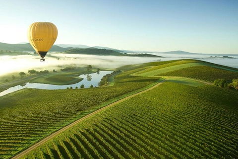 Half-Day Or Full-Day Tour With Private Guide From Melbourne - Kempsey Accommodation 4