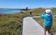 Penguin And Seal Islands Sea Kayaking Experience - thumb 1
