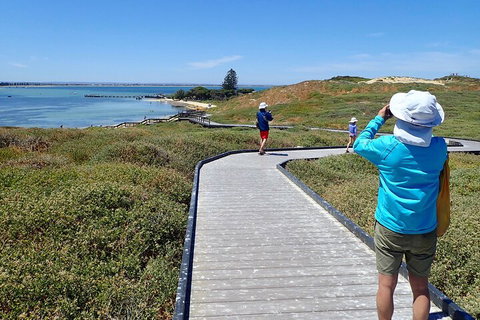 Penguin And Seal Islands Sea Kayaking Experience - Kempsey Accommodation 1