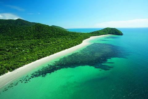 Cape Tribulation, Mossman Gorge, And Daintree Rainforest Day Trip From Cairns Or Port Douglas - Kempsey Accommodation 2