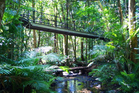 Cape Tribulation, Mossman Gorge, And Daintree Rainforest Day Trip From Cairns Or Port Douglas - Kempsey Accommodation 3