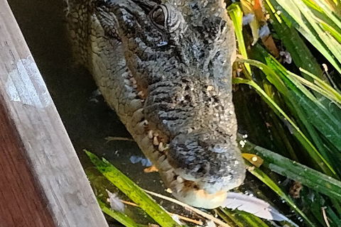 Litchfield Park Adventures And Jumping Crocodile Cruise + Butterfly Farm - Kempsey Accommodation 1