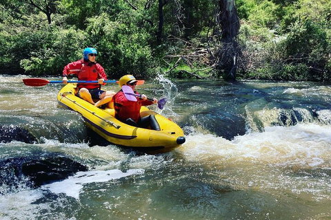 Yarra River Half-Day Rafting Experience - Kempsey Accommodation 4