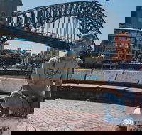 Sydney Private Tours by Locals 100 Personalized See the City Unscripted - Kempsey Accommodation