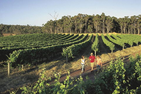Margaret River, Caves, Wine And Cape Leeuwin Lighthouse Tour From Perth - Kempsey Accommodation 1