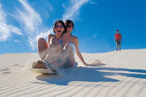 Full Day Pinnacle Desert Explorer From Perth Including Hillarys And Lancelin Sandboarding - Kempsey Accommodation 1