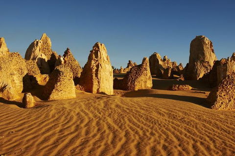 Full Day Pinnacle Desert Explorer From Perth Including Hillarys And Lancelin Sandboarding - Kempsey Accommodation 3